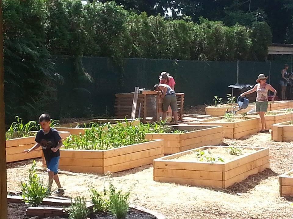 Blueridge Sharing Garden